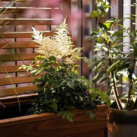 Bright And Cosy Flat Near The River Kraków