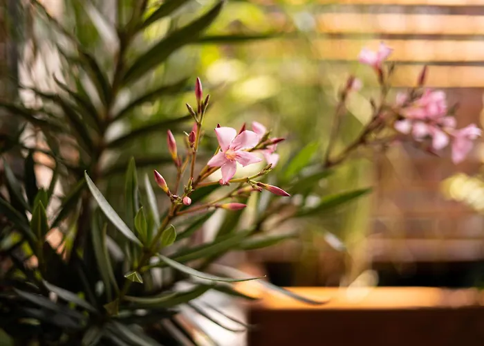 Apartment Bright And Cosy Flat Near The River