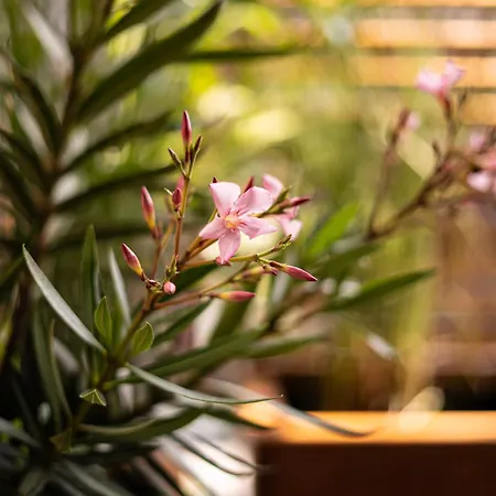 דירה Bright And Cosy Flat Near The River