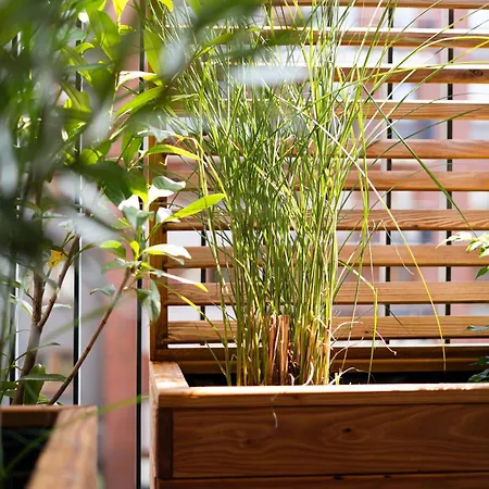 דירה Bright And Cosy Flat Near The River